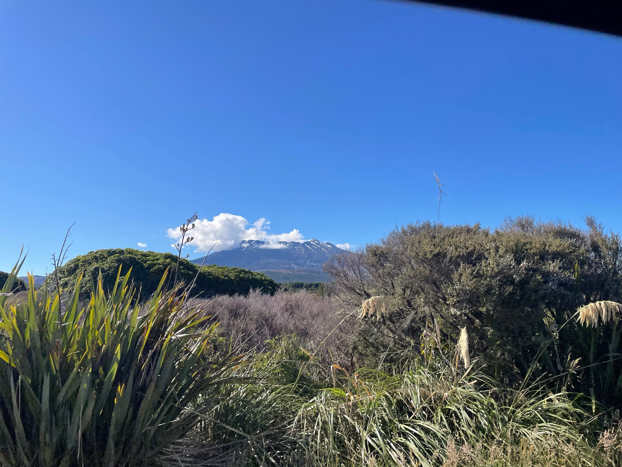 Mt Ruapehu