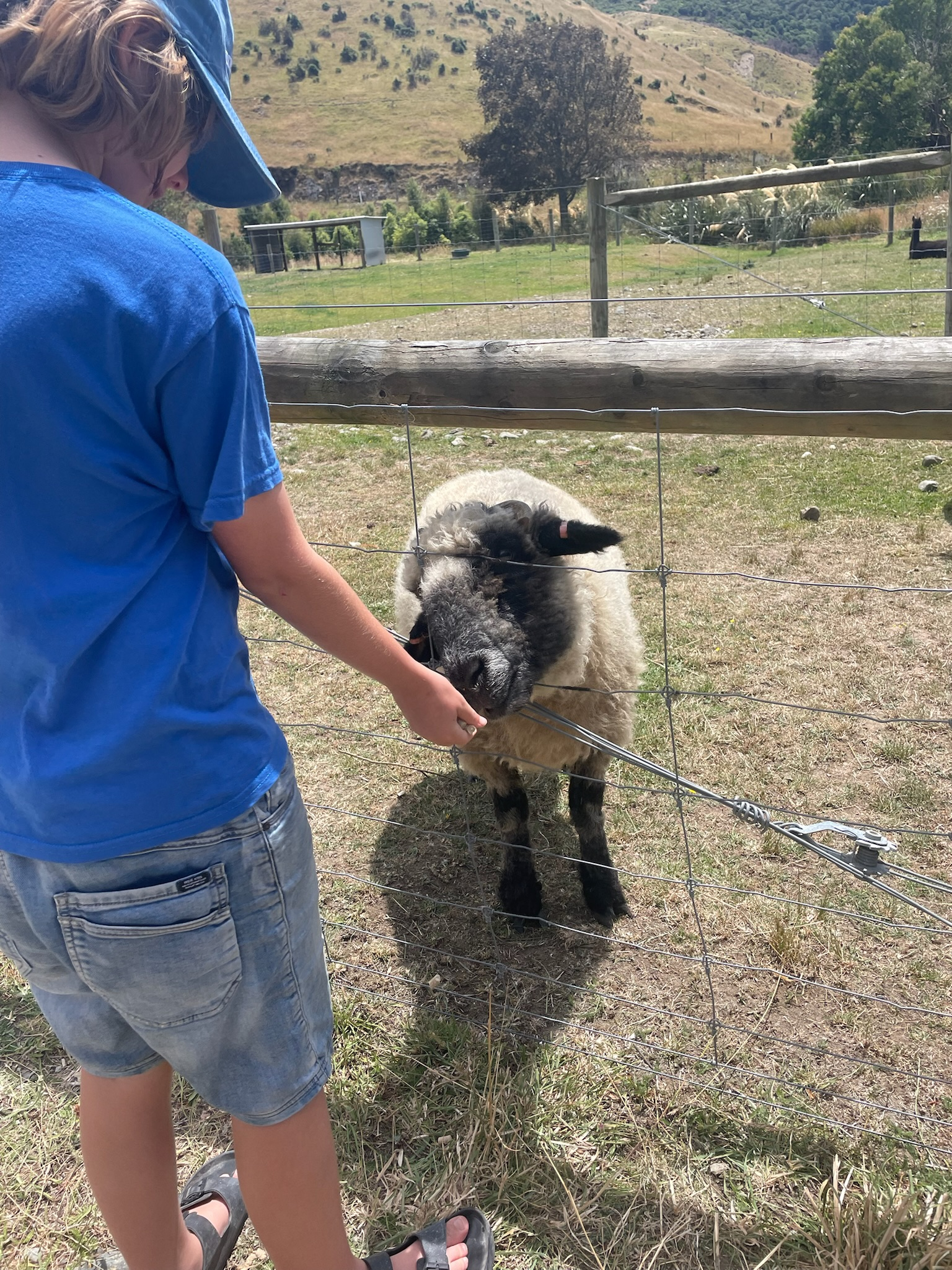 Cable Bay from above